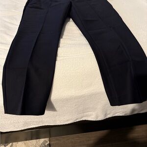 Ann Taylor Navy Ankle Pants